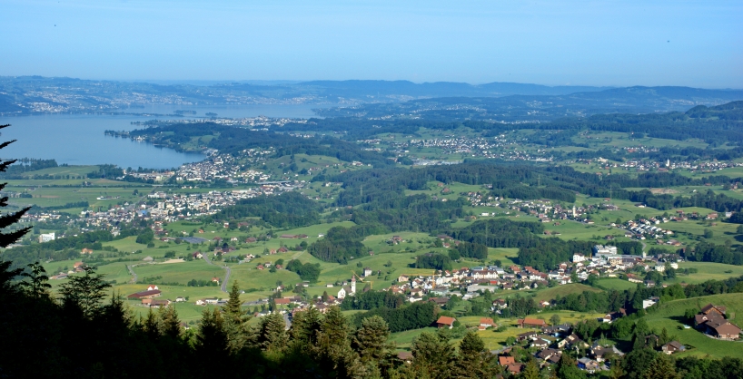 Blick Richtung Zürcher Obersee